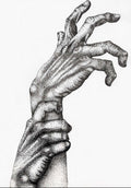 “Reaching for what I’ve never known”; 2025