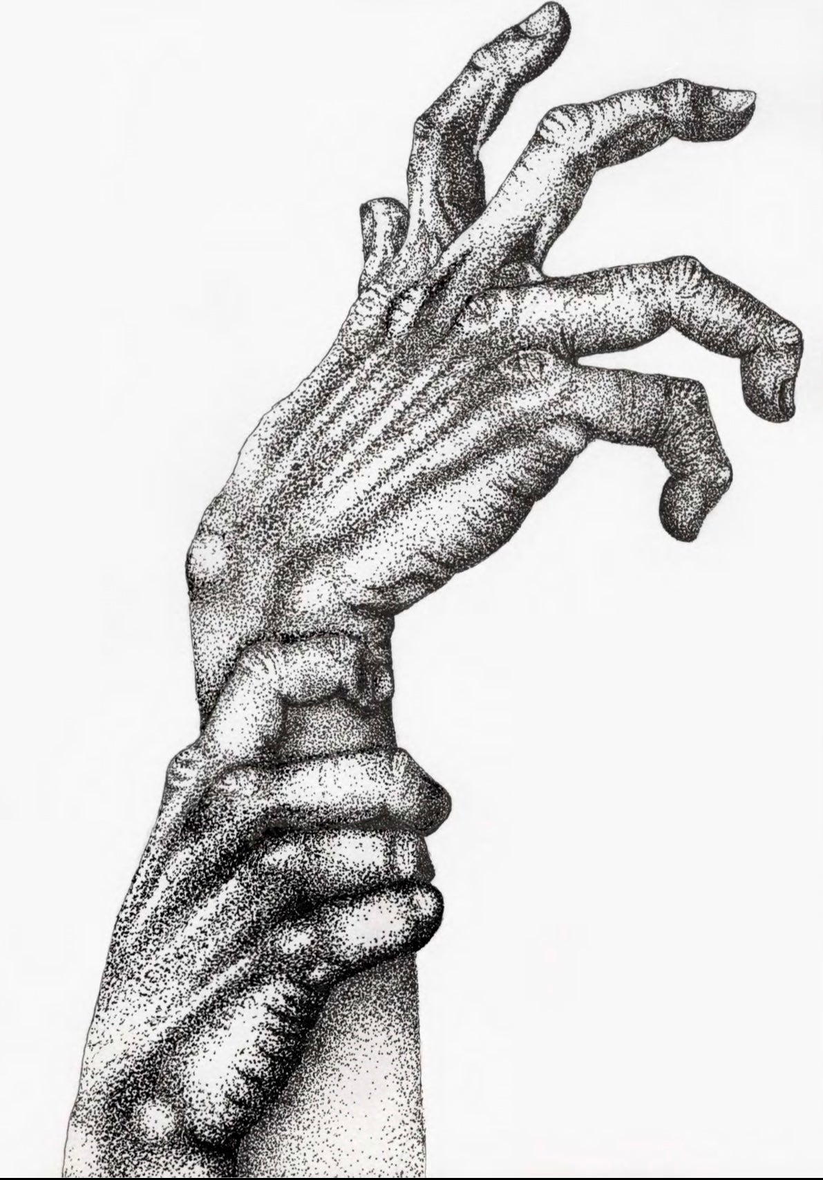 “Reaching for what I’ve never known”; 2025